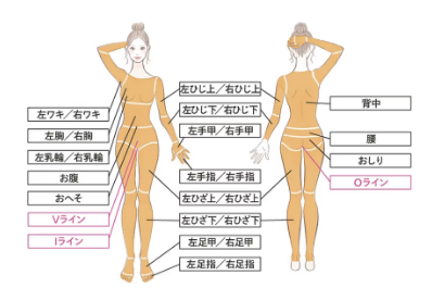 レジーナクリニックのデビュープランの施術箇所の画像