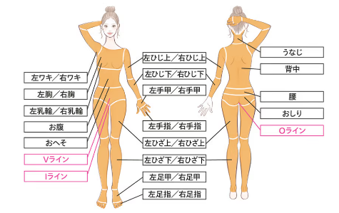レジーナクリニックのオーダーメイドプランの施術箇所の画像