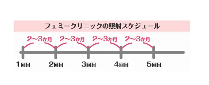 フェミークリニックの照射スケジュールの画像